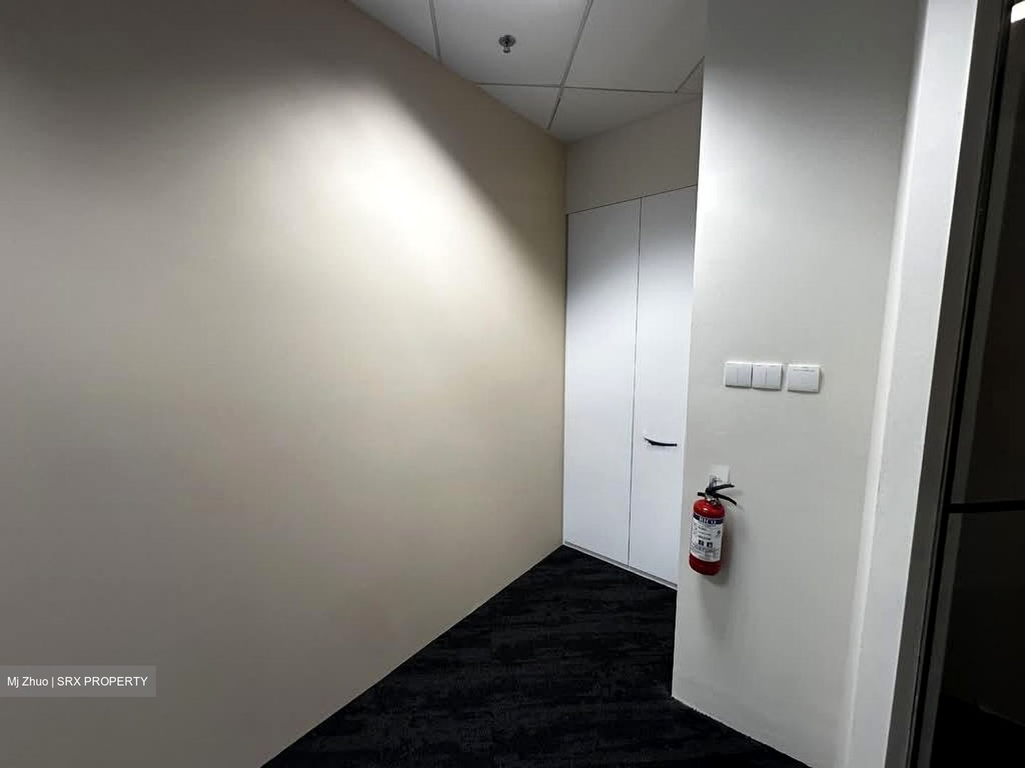PLUS (D1), Office #556235791